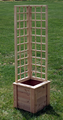 Box Trellis